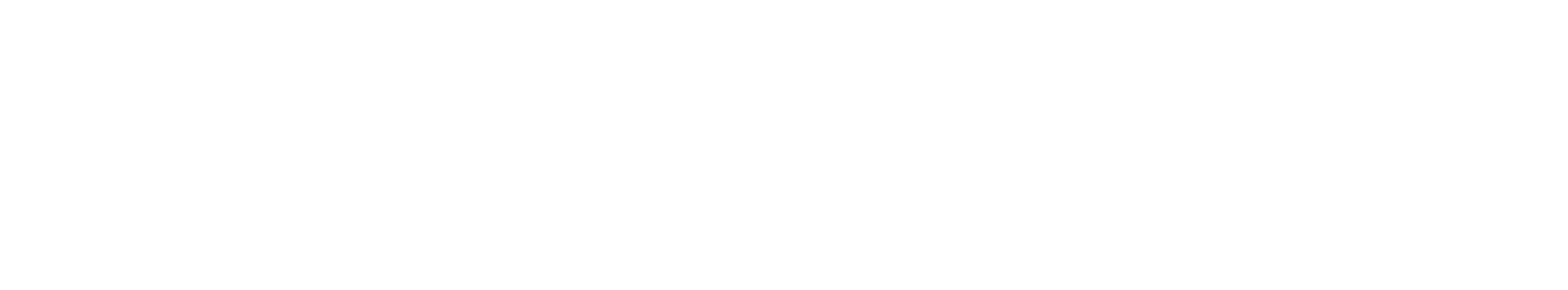 Digitix